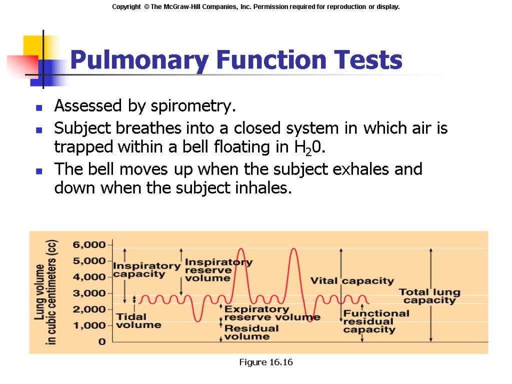 Pulmonary Function Tests Assessed by spirometry. Subject breathes into a closed system in which